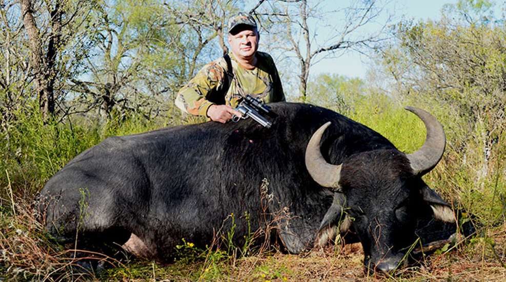 shootingcowsinapasture_lead.jpg