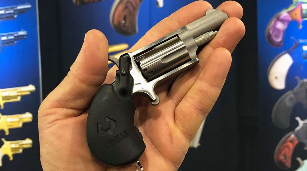 North American Arms Mini Revolver Lead
