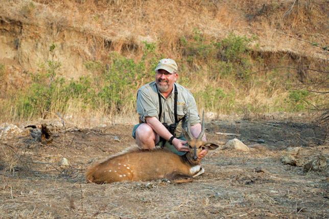 Bushbuck