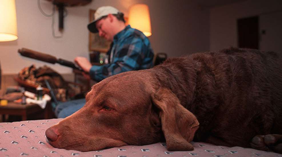 hunter_friendly_hotel_f.jpg