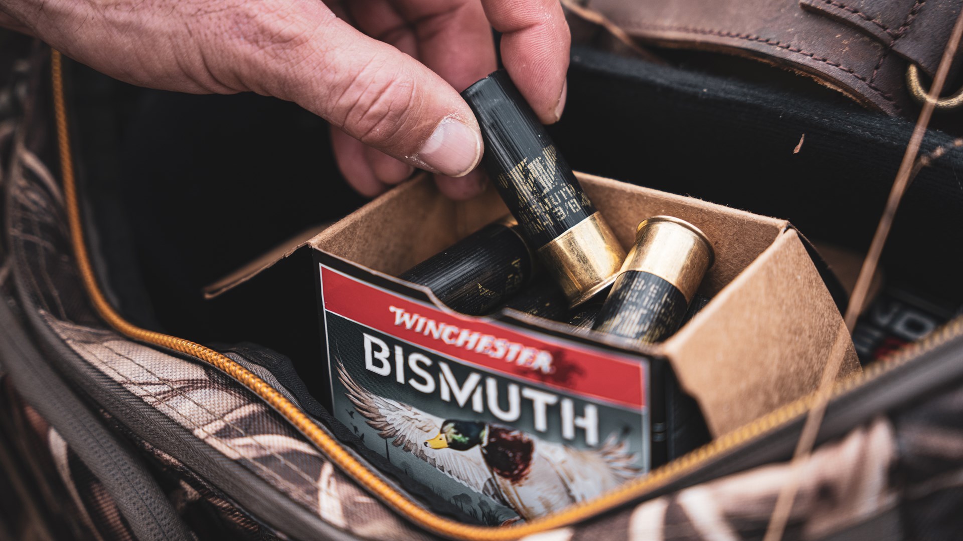 Bismuth
