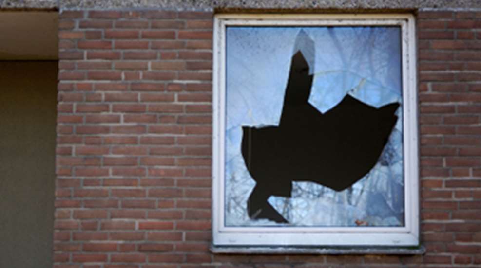 20121026114746-deer_windows_m.jpg
