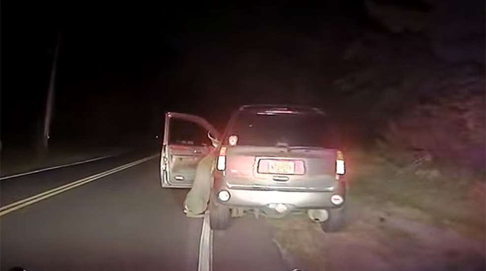 nj_deer_car_video_f.jpg