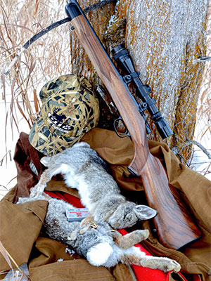 Hunting rifle resting against tree with two rabbits