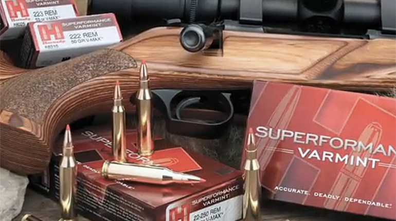 What’s the Best Load for Coyotes? | An Official Journal Of The NRA