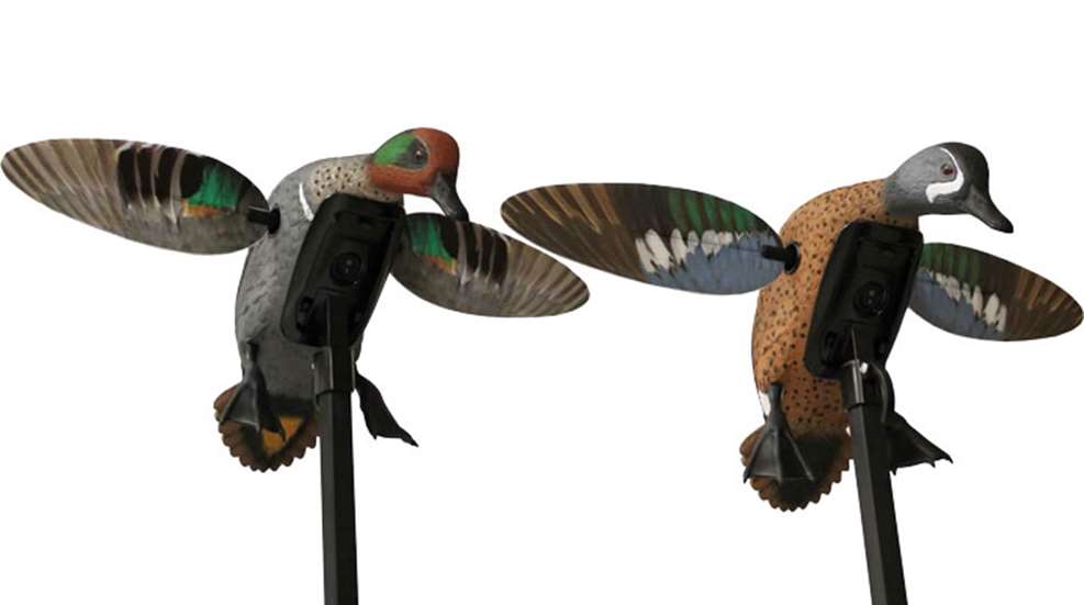 maines_green_wing_remote_white_background.jpg