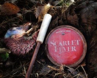 Olsens turkey and Scarlet Fever Pot Call