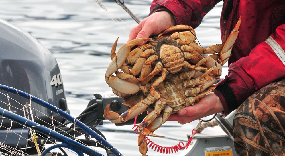 Man holding crab on boat