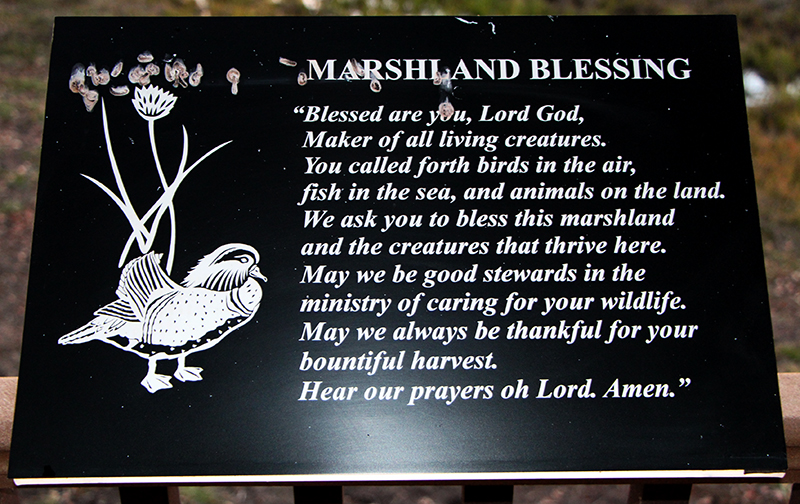 A Marshland Blessing