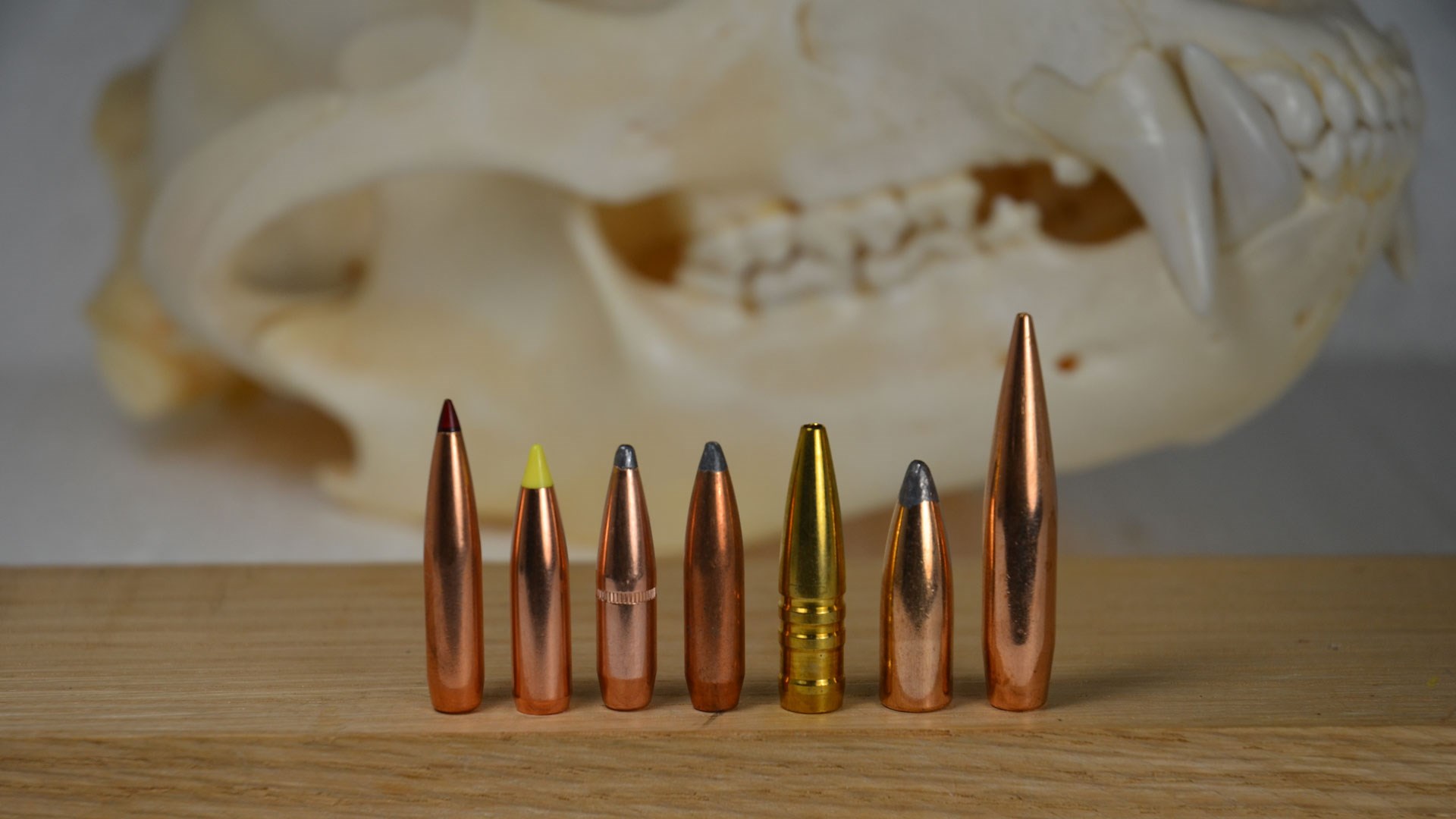 Bullets with skull