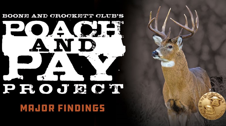 Boone and Crockett Club Poaching Data Published | An Official Journal Of The NRA