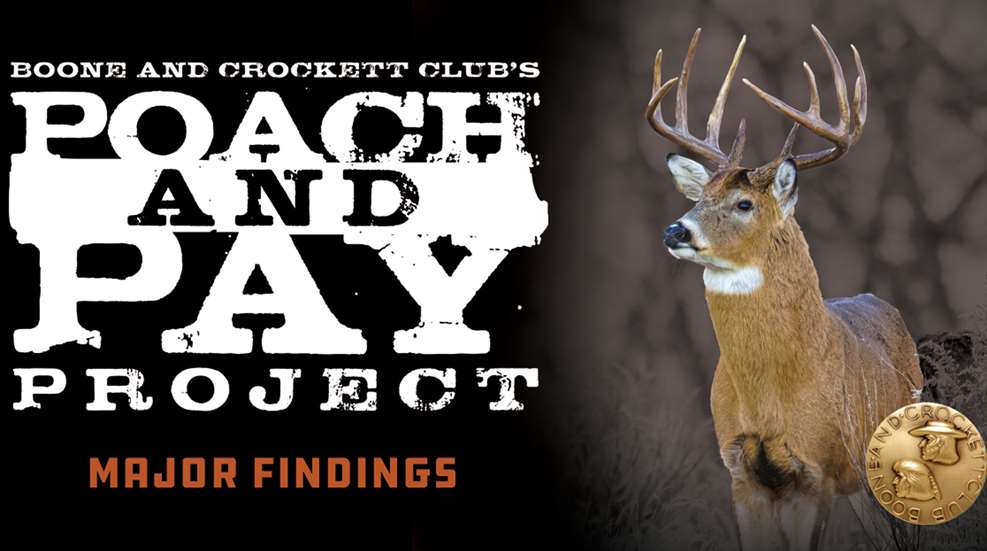 Ledepoach And Pay Major Findings