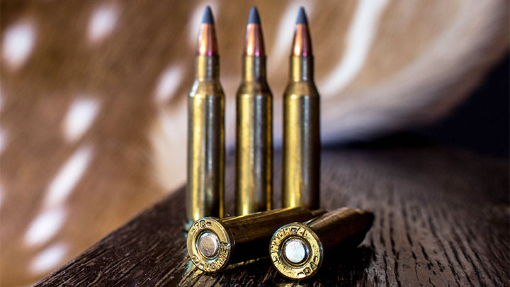 .17 Hornet Ammunition with Headstamp