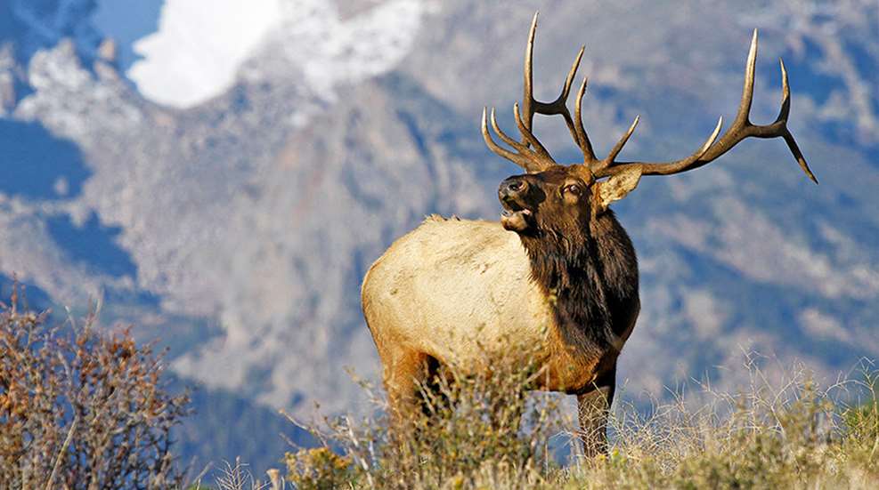 coloradoexpandspublichuntinglands_lead.jpg