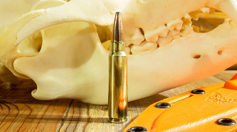 Behind the Bullet: .300 Savage | An Official Journal Of The NRA
