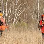 howtodrivepheasants_lead.jpg