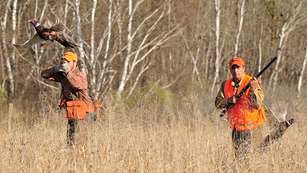howtodrivepheasants_lead.jpg
