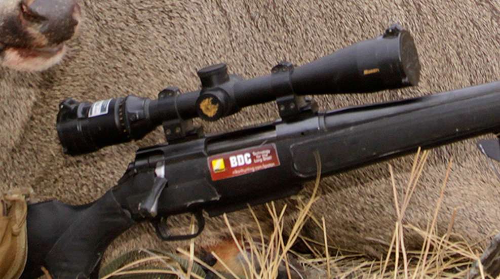 mule_deer_optics_f.jpg