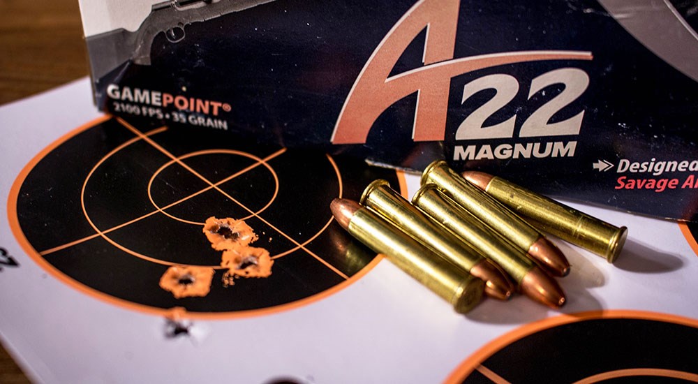 CCI A22 .22 Magnum Ammunition
