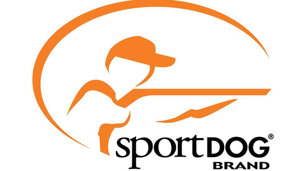 sport_dog_brad_f.jpg