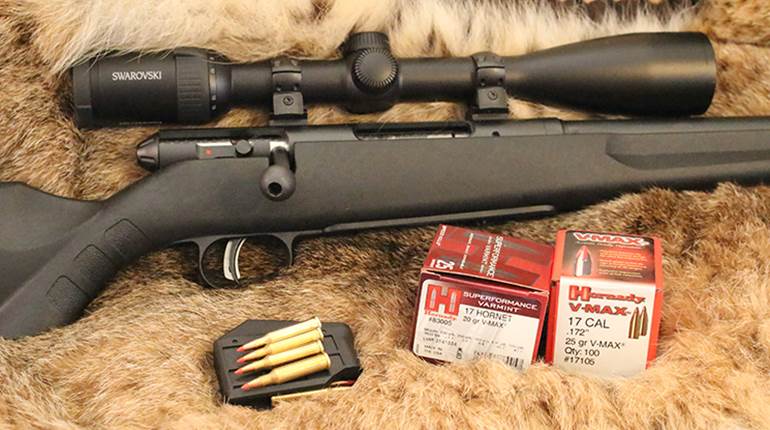 Top 5 Predator Rifles | An Official Journal Of The NRA