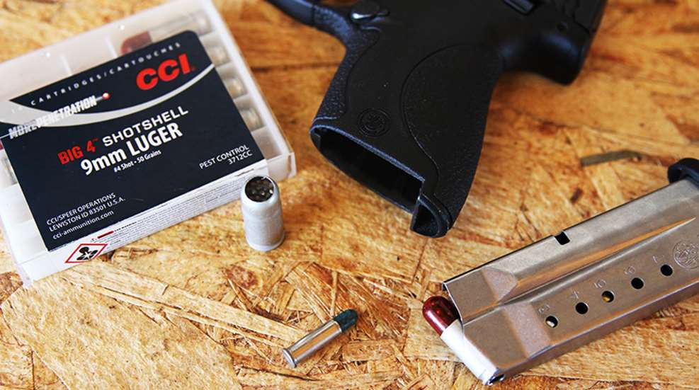 ccisnakeloadsforhandguns_lead.jpg