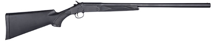 Savage Arms 301