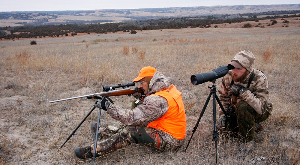 Hunter and guide looking through optics at far off whitetail deer.