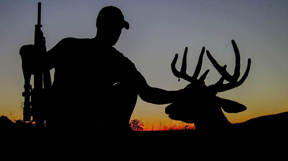 why_miss_deer_this_year_f.jpg