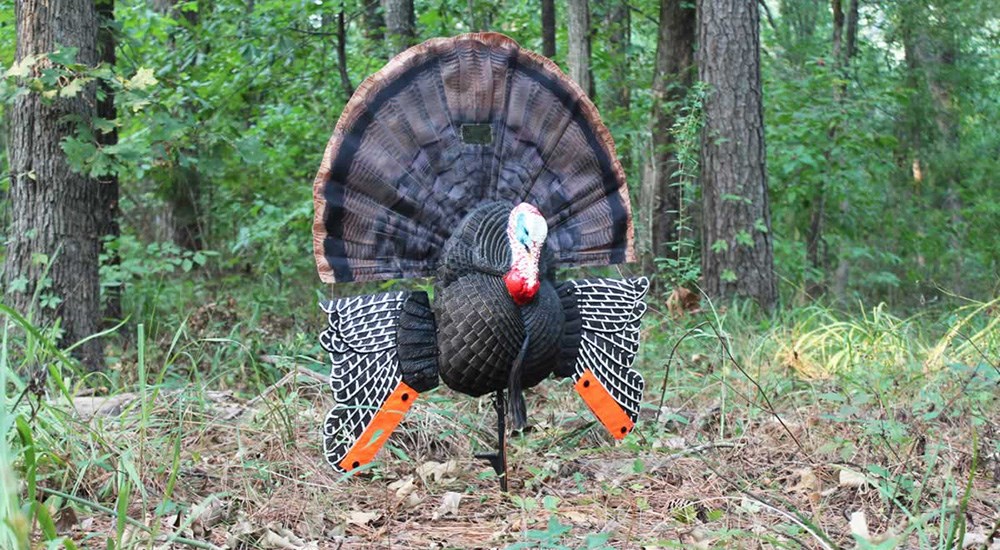 Mojo Scoot-N-Shoot Max turkey decoy.