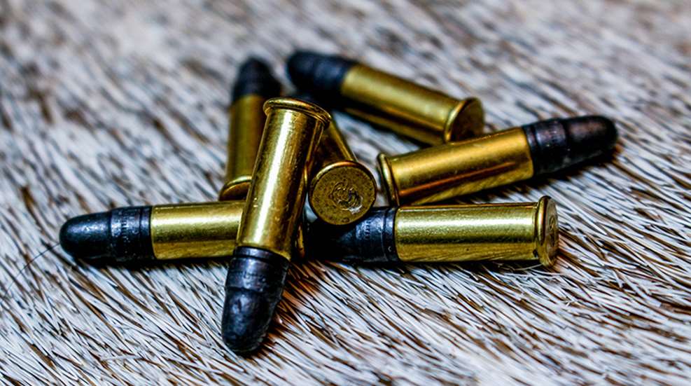 Behind the Bullet: .22 LR  An Official Journal Of The NRA