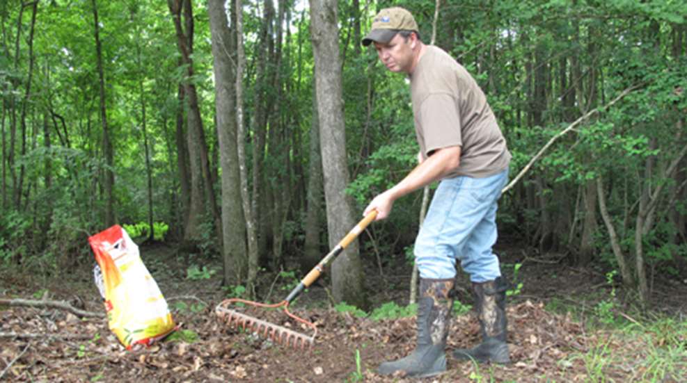 20118111594-creating-deep-woods-plot-1_f.jpg