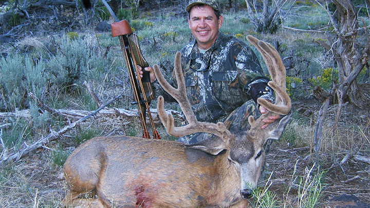 Bowhunter with velvet mule deer buck