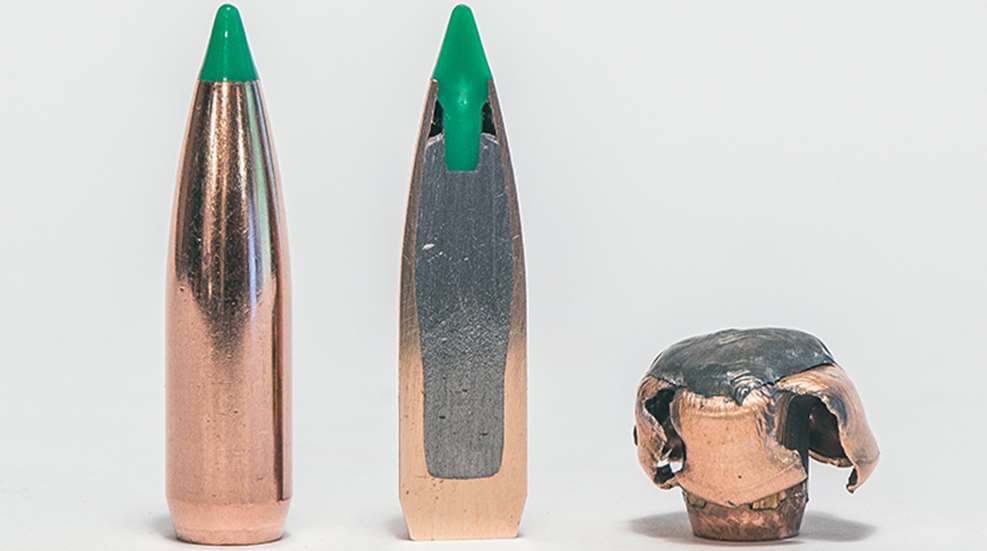 bb_nosler_ballistic_tip.jpg