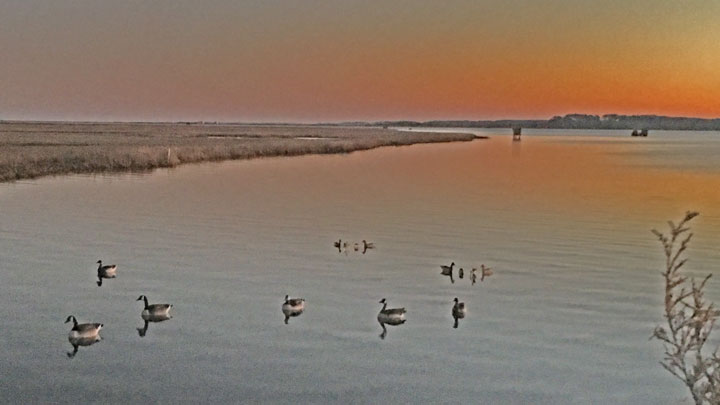 Decoy setup at sunrise