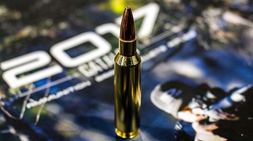 22_nosler_f.jpg