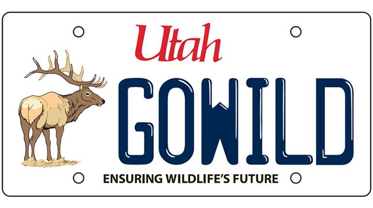 LEDE Utah DNR License Plate