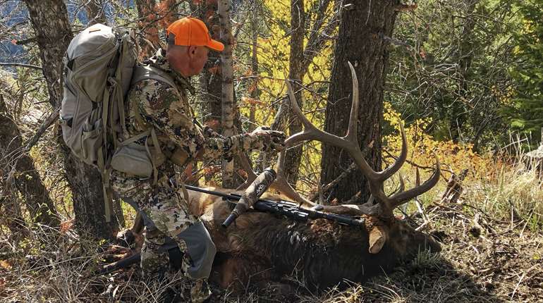 RE327, Mark Kayser With A Mature Bull Shot In Steep, Rugged Country Escaping Hunters, Copyright Mark Kayser