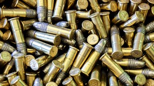 Remington Rimfire Ammo Roundup